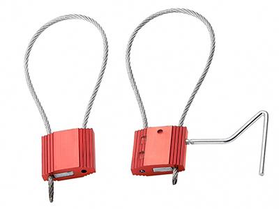 Scellé câble CH204